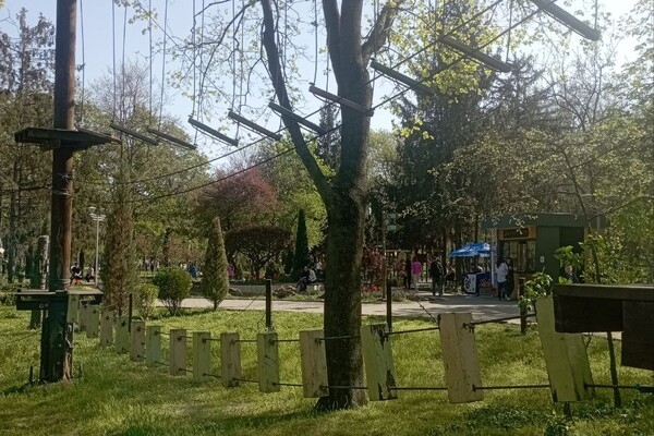 Сходи с малышами: где в Одессе искать веревочные парки