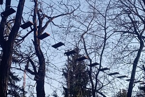 Сходи с малышами: где в Одессе искать веревочные парки