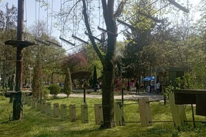 Сходи с малышами: где в Одессе искать веревочные парки