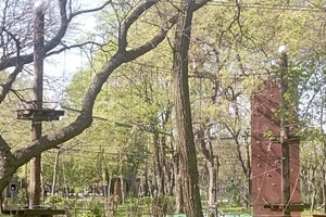 Сходи с малышами: где в Одессе искать веревочные парки