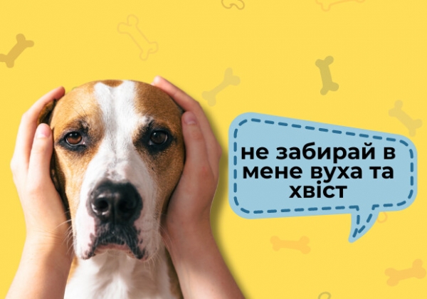 В Украине хотят запретить купировать собакам хвосты и уши