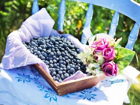 Як швидко впоратися з плямами від чорниці та лохини: перевірені способи, що точно вам допоможуть