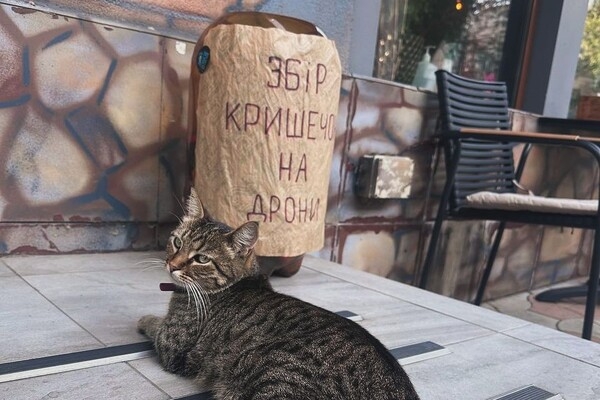 Какие заведения открылись в Одессе летом