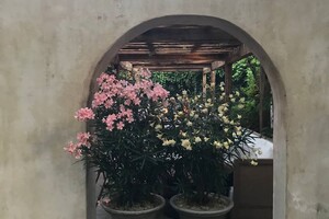 Какие заведения открылись в Одессе летом