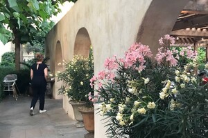 Какие заведения открылись в Одессе летом