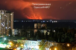 Под Одессой до сих пор горят плавни: их не могут потушить 