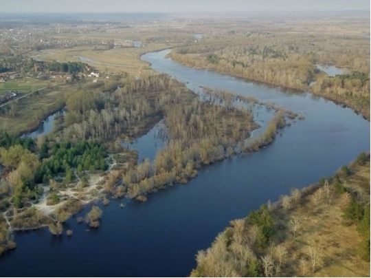 У Десні та її затоках заборонено купання та ловля риби: що сталося