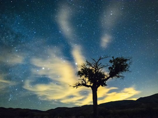 Овнам — несподівані новини, Близнюкам — корисні знайомства, Левам та Козерогам — кар'єрне зростання: гороскоп на четвер, 26 вересня