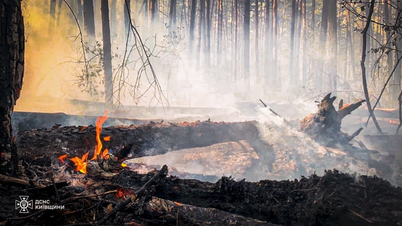У Чорнобильській зоні пожежами знищено тисячі гектарів лісу: що з якістю повітря та радіаційним фоном у Києві (фото)