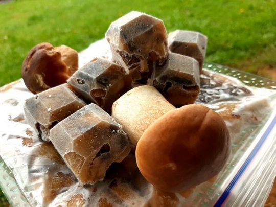 Як заморозити білі гриби для супу: простий рецепт досвідченої кулінарки