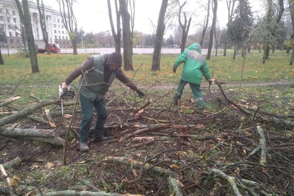 За последние два дня в Одессе упали почти два десятка деревьев и больших веток