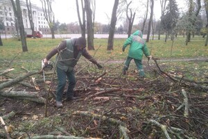 За последние два дня в Одессе упали почти два десятка деревьев и больших веток