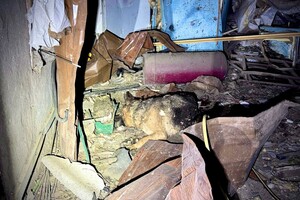 Последствия ночной атаки Одессы: пострадали два человека, убило собаку (фото, видео)