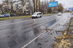 За последние два дня в Одессе упали почти два десятка деревьев и больших веток
