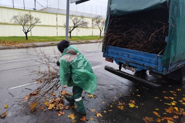 За последние два дня в Одессе упали почти два десятка деревьев и больших веток