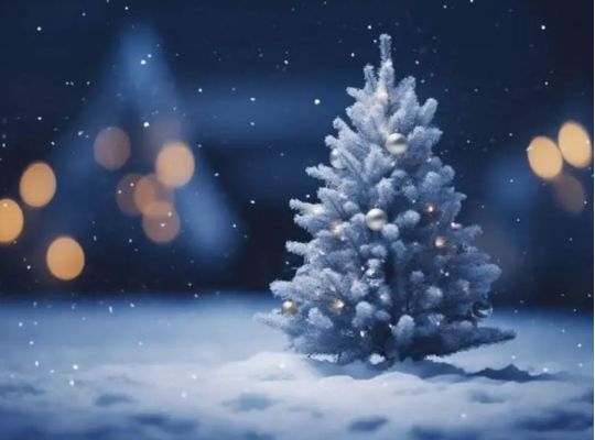 Ідеальний час для планування та досягнення важливих цілей: гороскоп на понеділок, 23 грудня