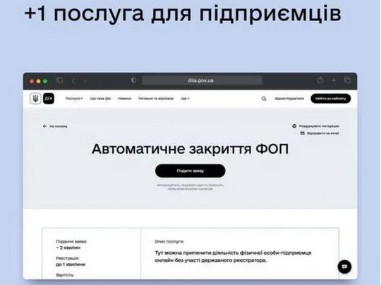 Як закрити ФОП поки не працюють державні реєстри: Кабмін запропонував варіант