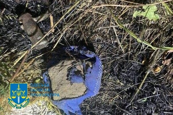 Поджигали релейные шкафы Одесской железной дороги: в Одессе будут судить диверсантов