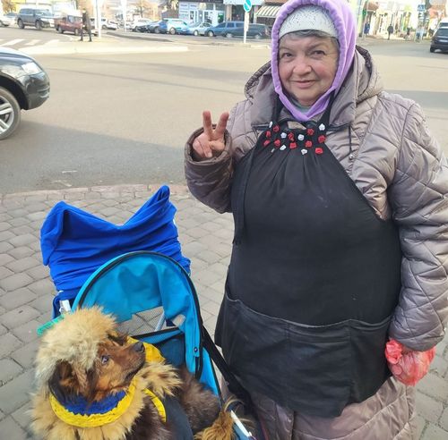 Джеккі обожнюють всі: на Вінниччині песик, який дивом вижив після отруєння, допомагає збирати донати на армію