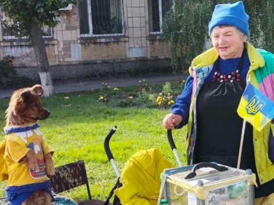 Джеккі обожнюють всі: на Вінниччині песик, який дивом вижив після отруєння, допомагає збирати донати на армію