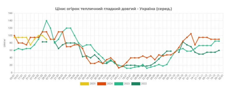 Салати стають доступнішими: в Україні здешевшав популярний овоч