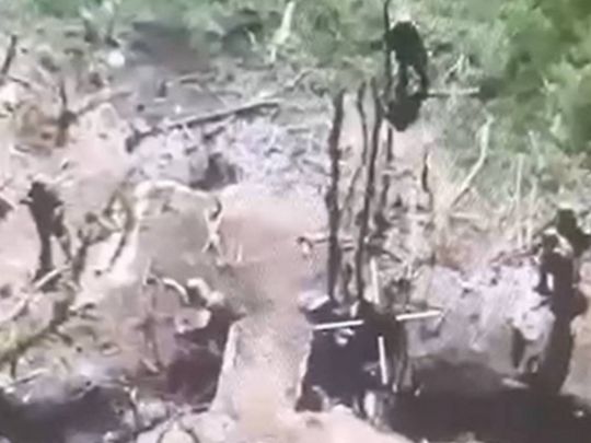 Під Волновахою окупанти розстріляли полонених бійців ЗСУ