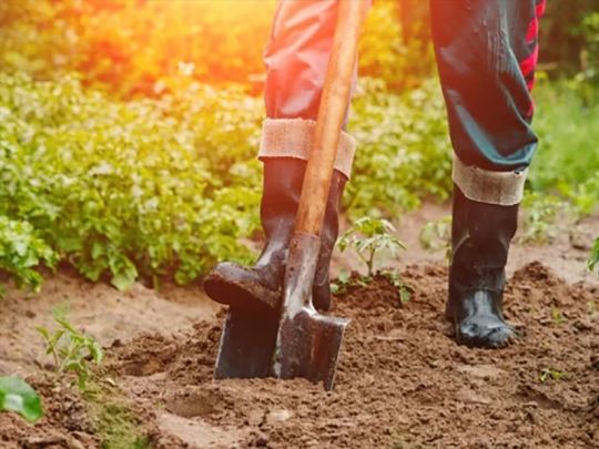 Земля не буде липнути до лопати: що зробити, щоб навіть пенсіонери змогли копати город без зусиль