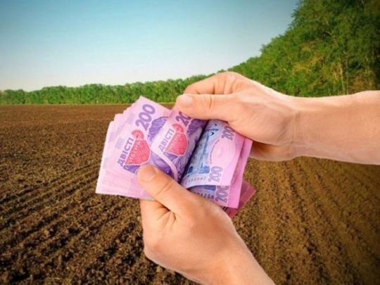 Від виплат звільнені: хто може не платити земельний податок у 2025 році